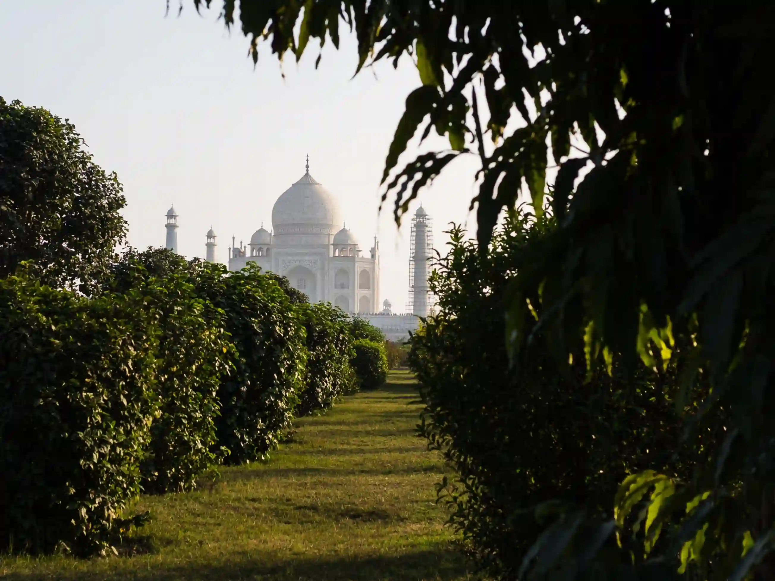 Taj Mahal and Agra Fort Tour by Car from Delhi